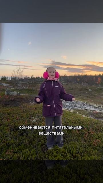 Стенд 32. Вишнякова Светлана. Сыроежка
