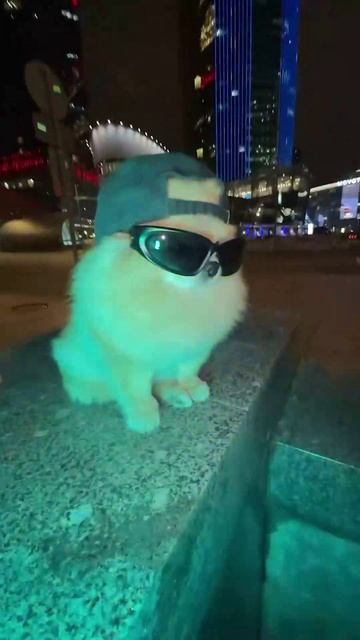 dogs | hit music смотреть онлайн