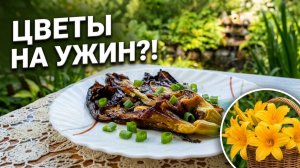 Соседи в ШОКЕ: Ужинаем лилейниками. 2 простых рецепта