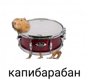 artur567 и Жорик тюленьчик