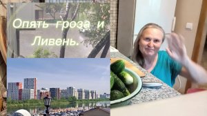 16 июля хроника дня. Делаю заготовки на зиму. Др Тюмень.
