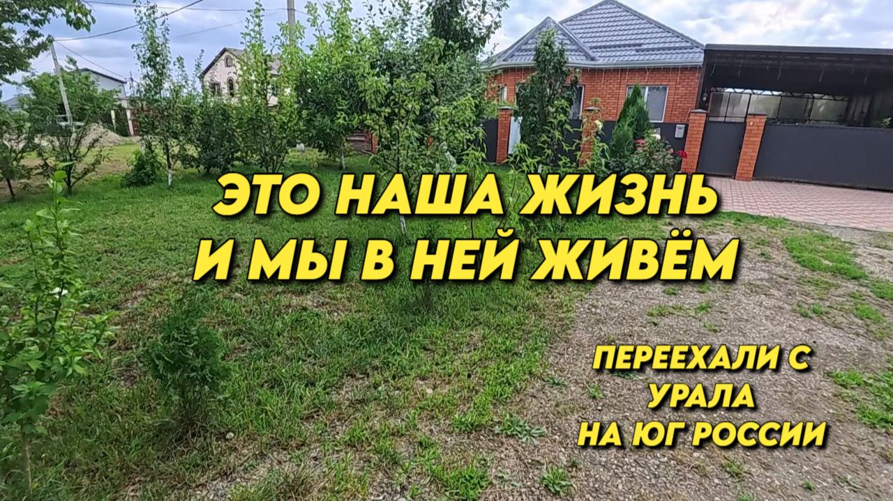 1180 Семья переехала жить на юг/Купил жене подарок смотреть онлайн