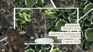 ДНЕВНИК лесного кота «Барсик и рыбалка в Сибири!» 7.07.2026