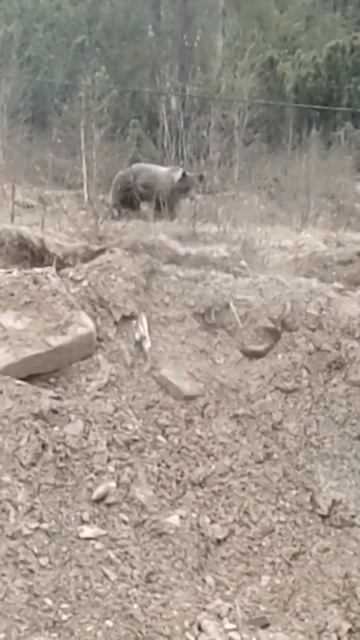 8475.mp4 смотреть онлайн