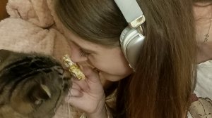 играем с котиком 🐈,весёлого вечера 🫶