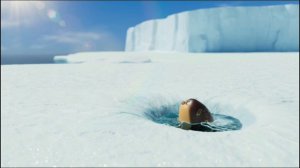 Тюленьки: 13 Серия: Катание на воде