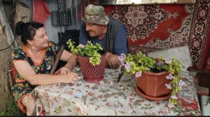 АВАРИЯ НА ОГОРОДЕ, ВОСХИЩЕНИЕ О ГОРОДЕ