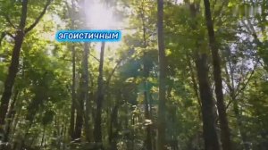 Однажды ты поймёшь....