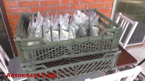 Жара. Июль. «Сказки» растут. Автоклав НЕФОР.