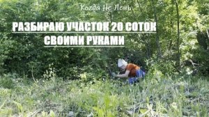 РАЗБОР ЗАРОСШЕГО УЧАСТКА СВОИМИ РУКАМИ. Часть 6