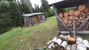 Заночевал в избушке. Проверил донки. Рыбалка на плотву. Покрасил окна. 4 серия