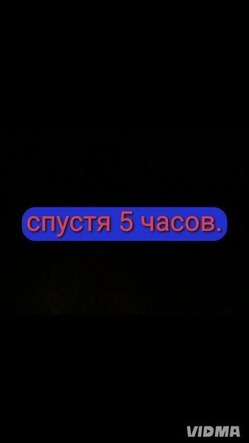 империя котов-1 серия.