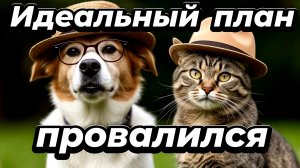 Смешные животные 2026-Коты и собаки  до слёз🐕😂