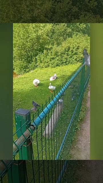 Прогулка 😉😆