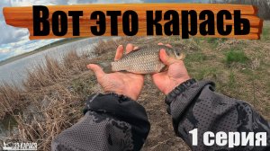 Вот это клёв! Караси на поплавок на бесплатном пруду. Топ рыбалка 2026 на карася