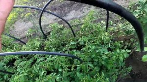 Для защиты от травм на огороде