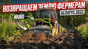 Трактор Беларус с мульчером NIUBO. ЛЕС СНОВА СТАНЕТ ПАСТБИЩЕМ