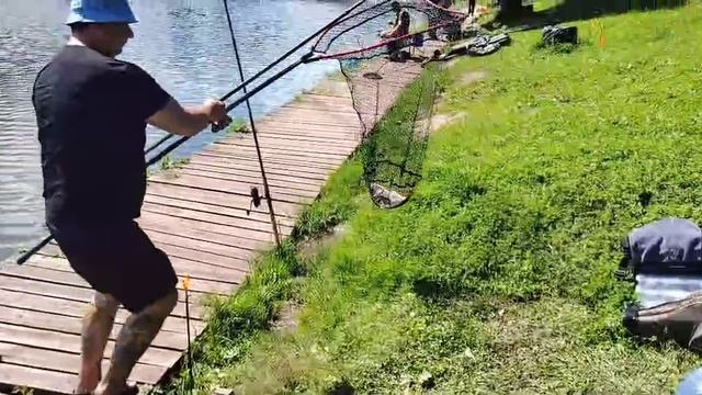 Зеркальный Карпик смотреть онлайн