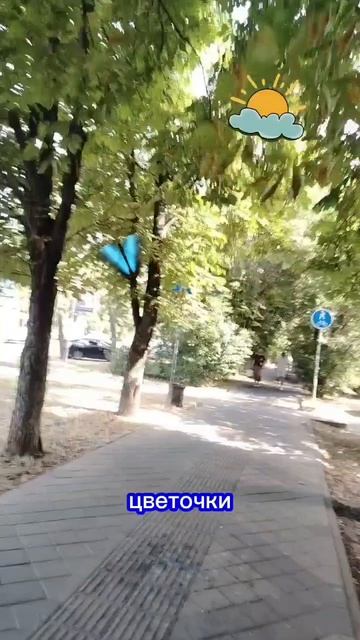 СВЕЖО! смотреть онлайн