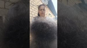1000261744.mp4 Мои пушинки.т.89020931602