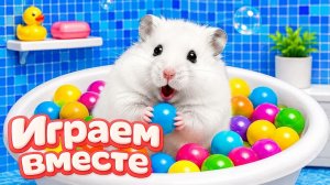 ХОМЯК ВЫБИРАЕТСЯ ИЗ СЕКРЕТНОЙ ХОМЯЧЕЙ ТЮРЬМЫ ! Забавные животные ! Супер лабиринт для хомяка №55