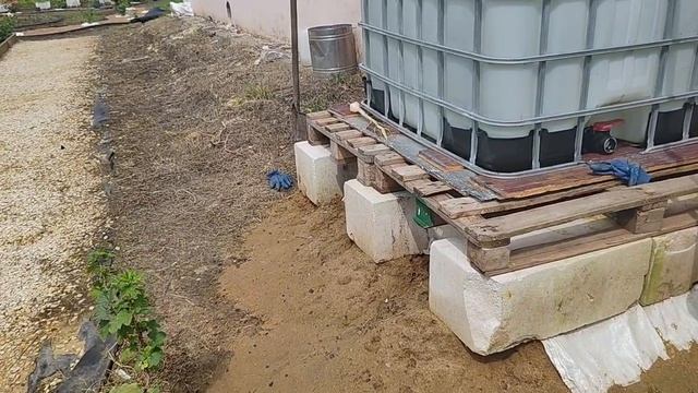Сдала АСИТ, записалась к аллергологу. Объявила войну слизням🤣 смотреть онлайн