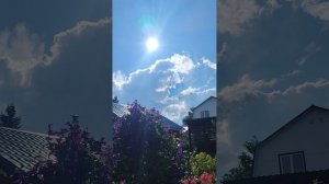 Потоп, дожди бесконечно. Жесть. Гибнут растения.