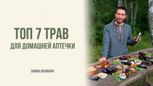 ТОП трав для домашней аптечки