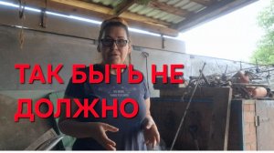 1361 Это Неправильно. Так быть не должно.Как я мариную огурцы. Собираем вёдрами.
