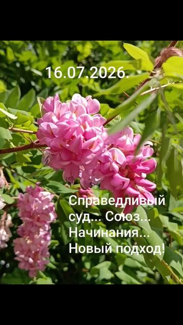 16.07.2026.✨🌈☀️Психологический аспект! Духовность и самореализация! Справедливый Суд! Новый подход!