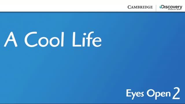 4.2 A cool life | EYES OPEN 2 смотреть онлайн