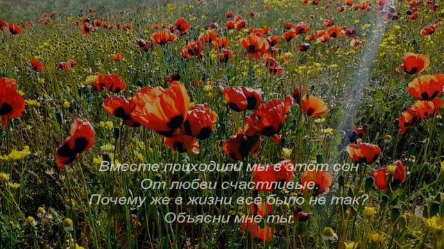 2. стр 49 н . смотреть онлайн