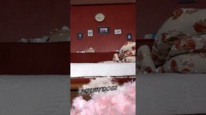 НОВОСТИ#ПДБ#СПАСИБО.