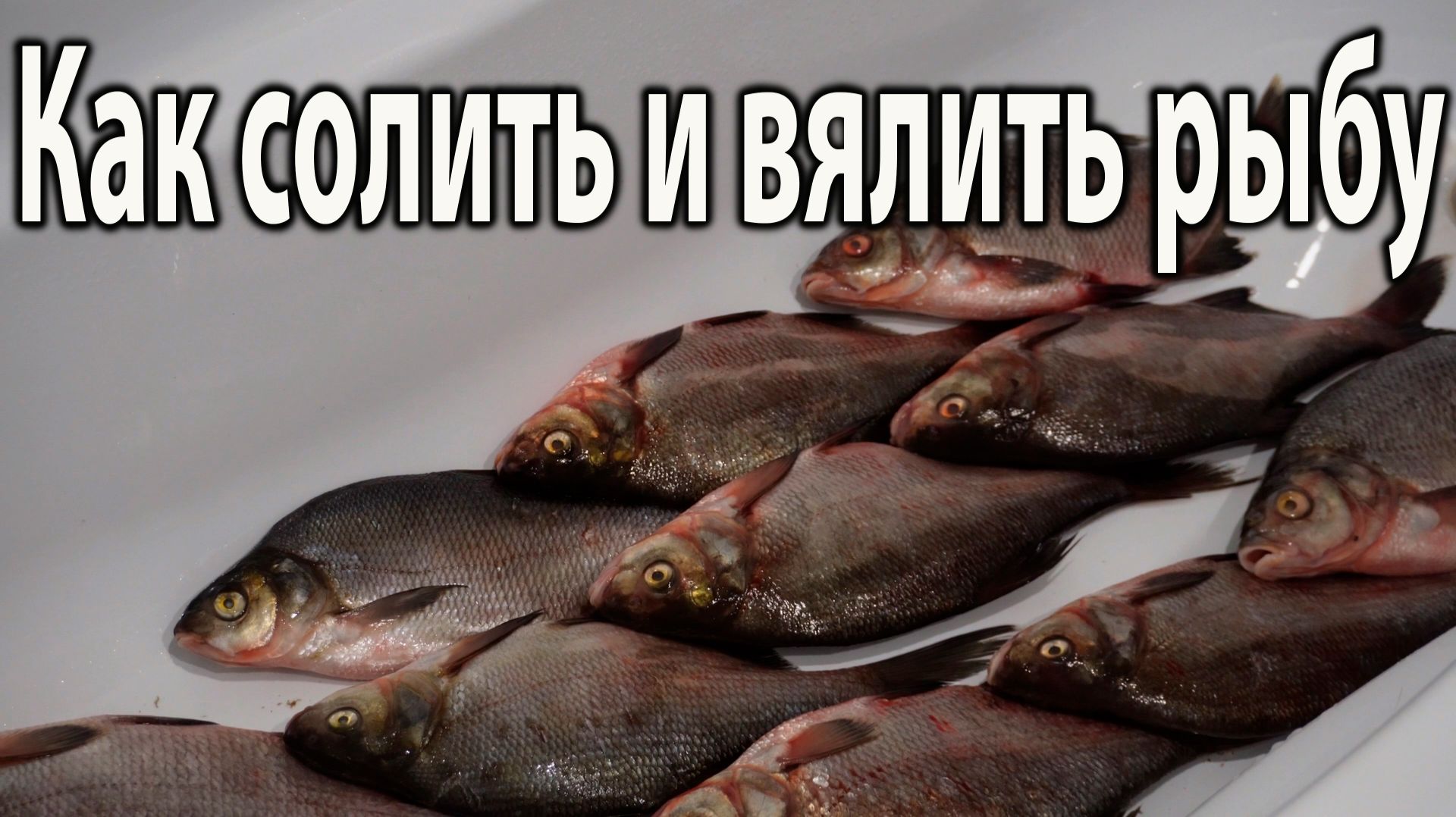 Как солить и Вялить Рыбу рабочий способ вялить речную рыбу 2025, посол рыбы в домашних условиях 2025
