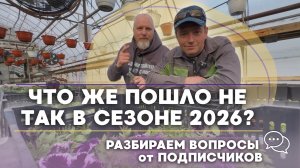 Почему тюльпан подвёл? Слепые бутоны, топпинг и короткий стебель: разбираем ошибки выгонки.