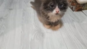 ГОТОВИМСЯ К ПРИЕЗДУ ДОЧИ И ВНУЧИ ИЗ СЕВЕРНОЙ СТОЛИЦЫ