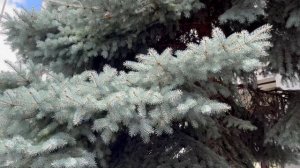 Державный Курс Н.Патрушева