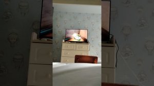 394.mp4