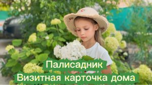 Палисадник. Визитная карточка дома. Ухаживаем за растениями.