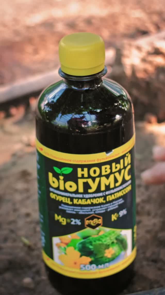 Новый bioГУМУС как элемент системы профилактики от фитофторы.  #огород #дача  #сад A#garden