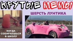 1000 ЛУЧШИХ МЕМОВ