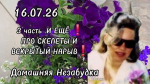 3 часть. И ещё😡❗️Просто скелеты и вскрытый нарыв❗️