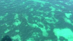 Magic Djerba Mare, Тунис, обзор отеля