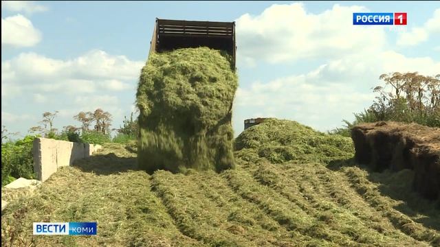В Коми набирает обороты кормозаготовка