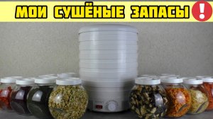 Сушка овощей на зиму