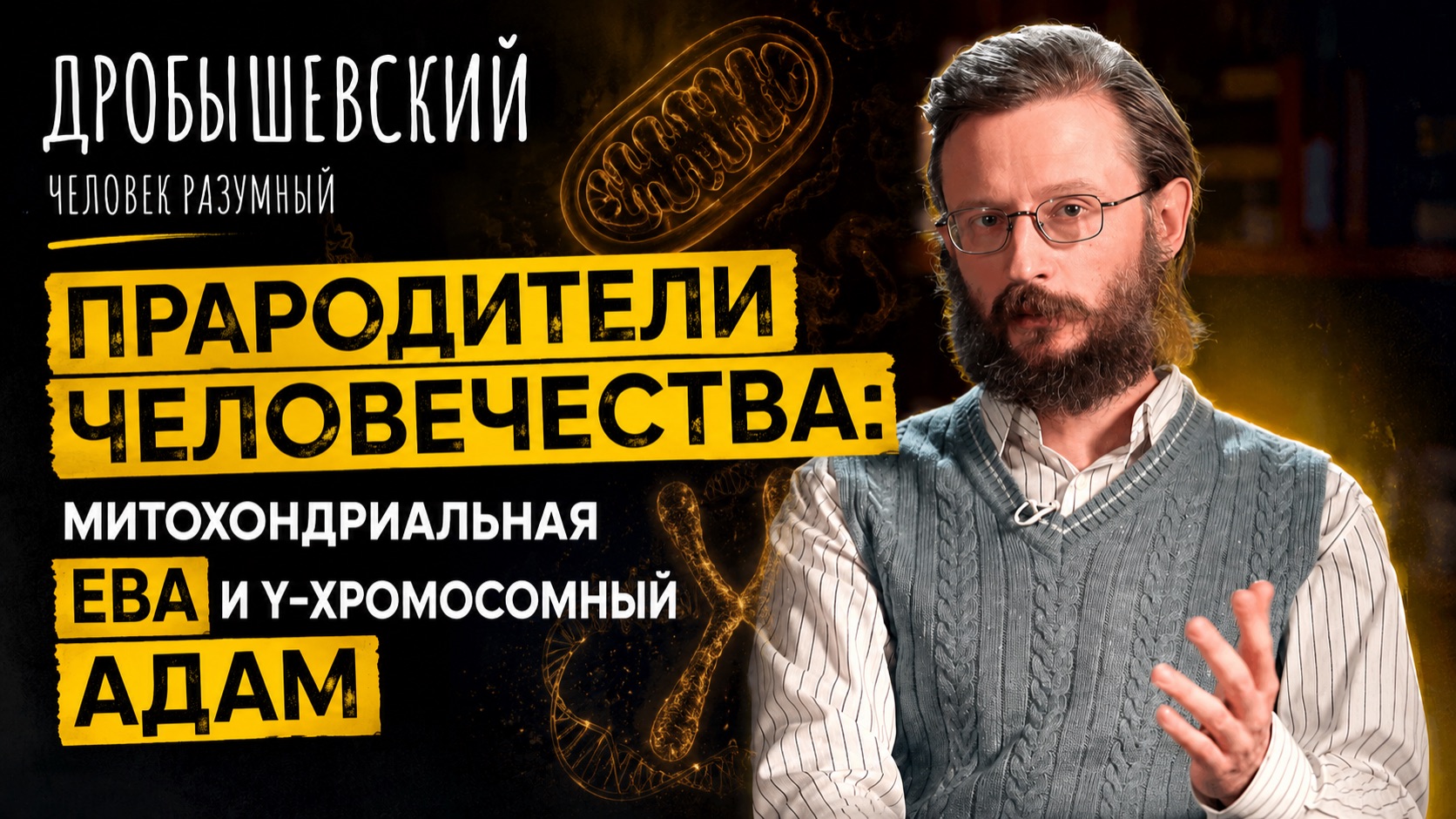 Прародители человечества: митохондриальная Ева и Y-хромосомный Адам. Дробышевский смотреть онлайн