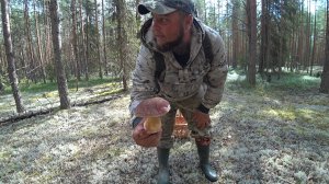 ЗАЕХАЛ В ЛЕС И ОШАЛЕЛ, БОРОВИКИ ПО ВСЮДУ! ТАИНСТВО БЕЛОМОШНИКА, СБОР ГРИБОВ \ БЕЛЫЕ ГРИБЫ 2026!