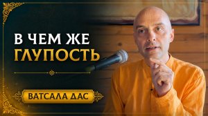 В чём же глупость