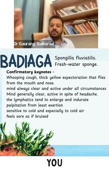 Badiaga