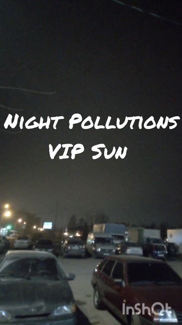 Night Pollutions VIP Sun shorts
